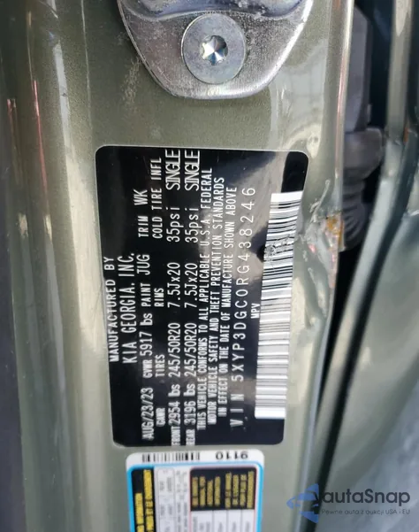 2024 Kia Telluride Ex из США, поврежденный, VIN 5XYP3DGC0RG438246